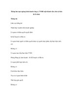 Thông báo tạm ngừng kinh doanh công ty TNHH một thành viên (chủ sở hữu là tổ chức) docx