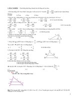 ÔN TẬP HÌNH HỌC KỲ II -2010