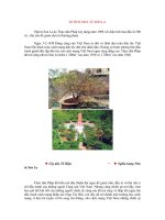 Di tich nha tu son la