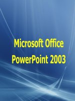 Microsoft Office PowerPoint 2003 pdf