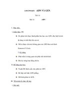 Giáo án sinh 9 - CHƯƠNGIII: ADN VÀ GEN - Bài 14: ADN potx