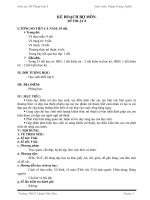 Giáo án Mĩ thuật 8 HK I