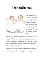 Bệnh thiếu máu ppsx