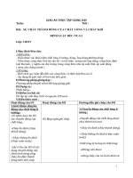 Sự chảy thành dòng