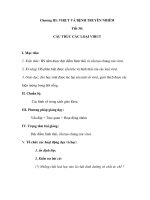 Sinh học 10 - VIRUT VÀ BỆNH TRUYỀN NHIỄM - Tiết 30: CẤU TRÚC CÁC LOẠI VIRUT pptx