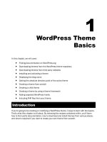 Hướng dẫn tạo themes cho wordpress part 1 pps
