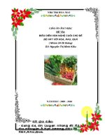 BDVN 24-36 tháng Hoa,rau,quả