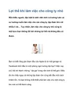 Lợi thế khi làm việc cho công ty nhỏ ppt