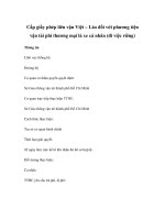 Cấp giấy phép liên vận Việt – Lào đối với phương tiện vận tải phi thương mại là xe cá nhân (đi việc riêng) doc