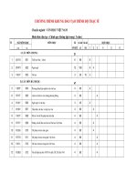 Chuong trinh khung dt thac si(1)