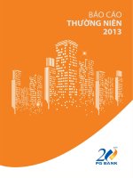 báo cáo thường niên năm 2013 ngân hàng xăng dầu petrolimex