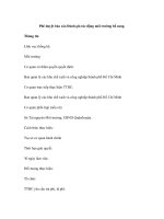 Phê duyệt báo cáo Đánh giá tác động môi trường bổ sung ppsx