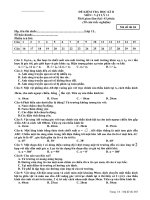 Đề mẫu Lý_11 HK II số 10