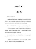 ASPÉGIC (Kỳ 3) docx