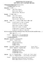 Đề cương ôn tập HKII-AV 7