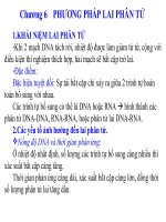 Chương 6: PHƯƠNG PHÁP LAI PHÂN TỬ pot