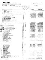 ngân hàng thương mại cổ phần sài gòn hà nội shb báo cáo tài chính riêng lẻ quý 1 năm 2013 td bảng cân đối kế toán