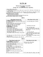 TUẦN 30 - BUỔI 1 (LỚP 2) - Hằng