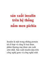 sản xuất insulin trên hệ thống nấm men pichia pdf