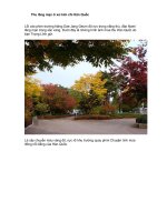 Thu lãng mạn ở xứ kim chi Hàn Quốc