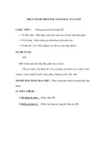 Giáo án Công nghệ lớp 6 - THỰC HÀNH TRỘN DẦU GIẤM RAU XÀ LÁCH potx