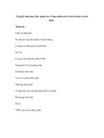 Cấp giấy phép thực hiện quảng cáo về thực phẩm trên Truyền thanh, truyền hình... pot