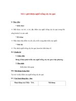 Giáo án công nghệ lớp 9 - Giới thiệu nghề trồng cây ăn quả docx