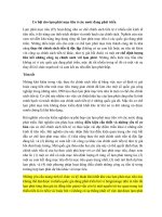 Tiểu luận tài chính tiền tệ: Cơ hội cho lạm phát mục tiêu ở các nước đang phát triển