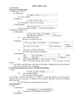 Đề cương Anh 6-HKII