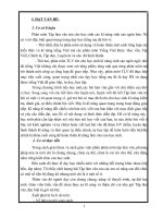 SKKN : Dạy tiết TLV trả bài lớp 5