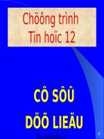 chương trình tin học 12