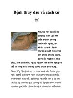 Bệnh thuỷ đậu và cách xử trí pptx