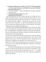 Bài làm triển vọng tiền châu Á ppsx