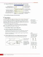 Adobe Flash CS3: The Professional Portfolio- P6 doc