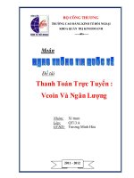 bài tập nhóm thanh toán trực tuyến vcoin và ngân lượng