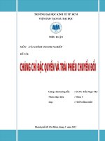 TIỂU LUẬN MÔN TÀI CHÍNH DOANH NGHIỆP: CHỨNG CHỈ ĐẶC QUYỀN VÀ TRÁI PHIẾU CHUYỂN ĐỔI