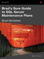 Brad’s Sure Guide to SQL Server Maintenance Plans- P1 pps
