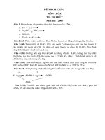 de thi mon hoa (cuc hay)