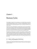 Matthias Doepke - Marcroeconomics - Chapter 9 doc