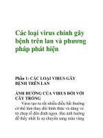 Các loại virus chính gây bệnh trên lan và phương pháp phát hiện pptx