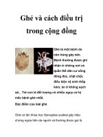 Ghẻ và cách điều trị trong cộng đồng potx