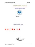 Đề tài thuyết trình Chuyển giá