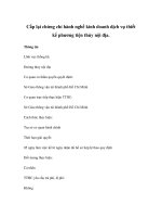 Cấp lại chứng chỉ hành nghề kinh doanh dịch vụ thiết kế phương tiện thủy nội địa. pptx