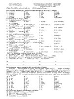 ĐỀ THI HSG LỚP 6 - THAM KHẢO  - 3