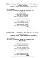 Đề thi Văn hay, Chữ đẹp - L3 (09-10)