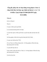 Cấp giấy phép cho các hoạt động trong phạm vi bảo vệ công trình thủy lợi được quy định tại khoản 1, 2, 6, 7, 8, 10 Điều 1 Quyết định 55/2004/QĐ-BNN ngày 01/11/2004. doc