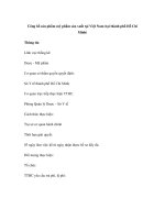 Công bố sản phẩm mỹ phẩm sản xuất tại Việt Nam (tại thành phố Hồ Chí Minh) potx