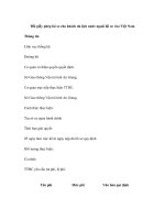 Đổi giấy phép lái xe cho khách du lịch nước ngoài lái xe vào Việt Nam potx