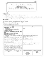 Cơ quan sinh sản của Thực vật có hoa