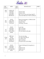 Giáo án lớp 1 tuần 30 (CKTKN)